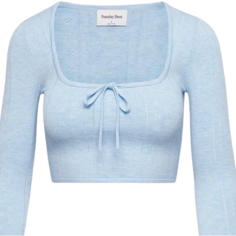 Aritzia blue cropped long sleeve pointelle top